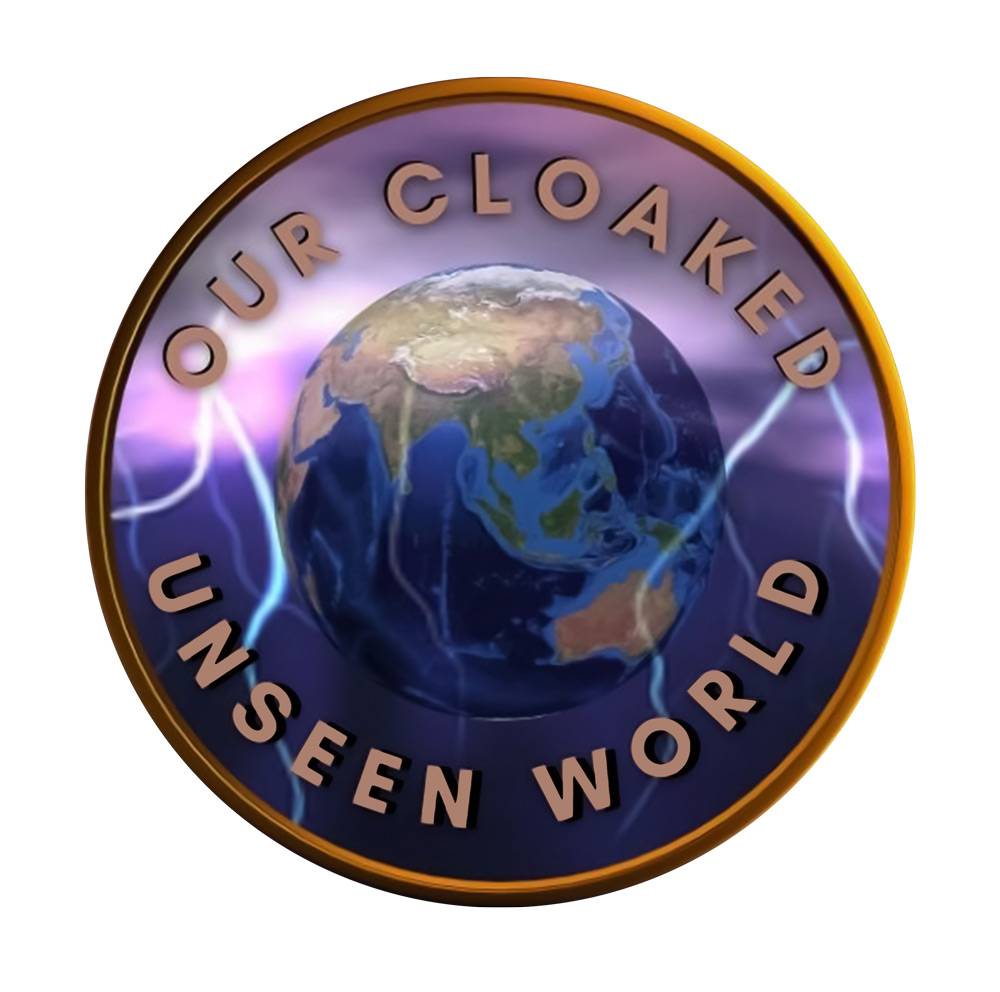 OUR CLOAKED UNSEEN WORLD // RISE INTL.