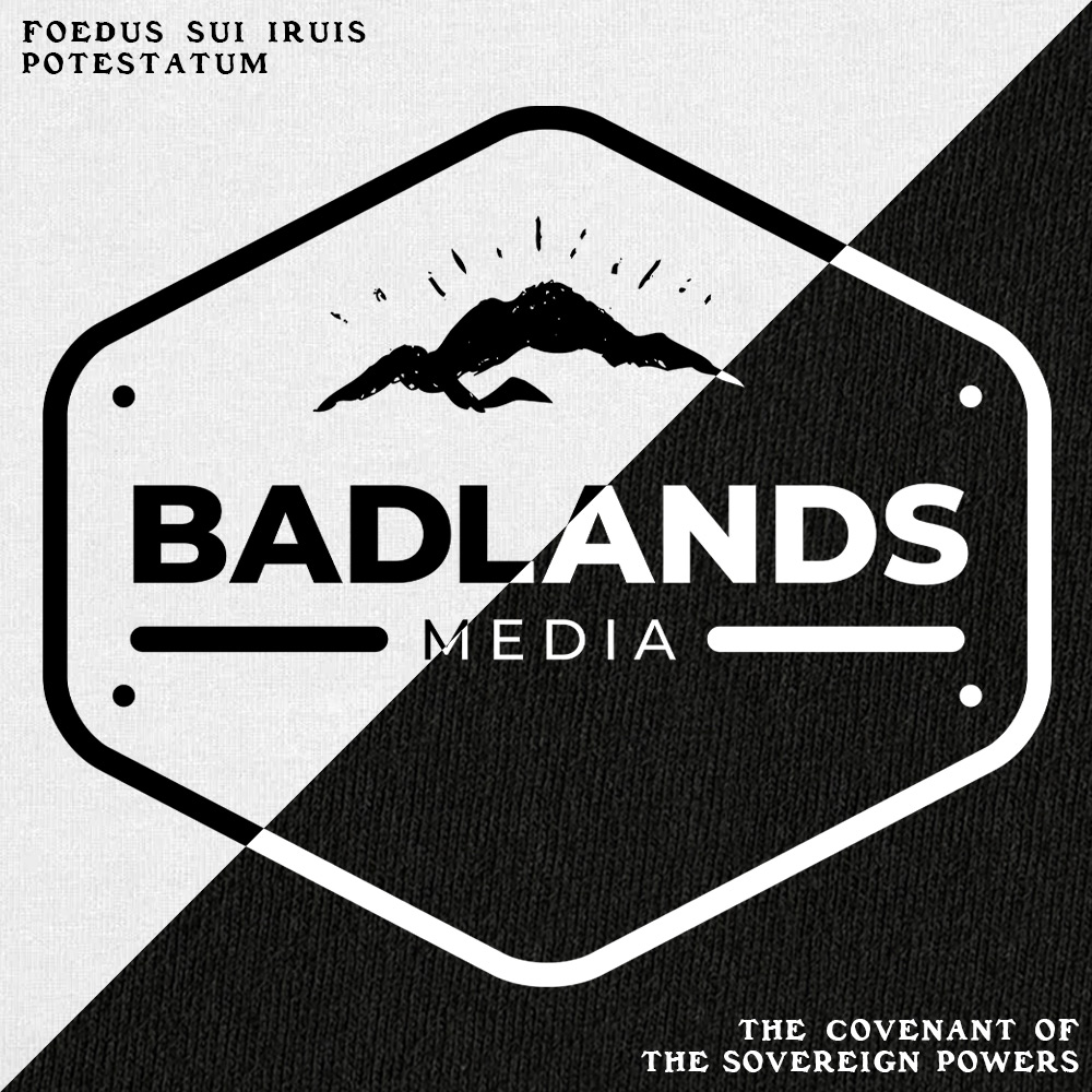 RISE INTL // Badlands Media // Sovereign Alliance // DTG Unisex Cotton Pullover Hoodies // Color Swatches // BACK